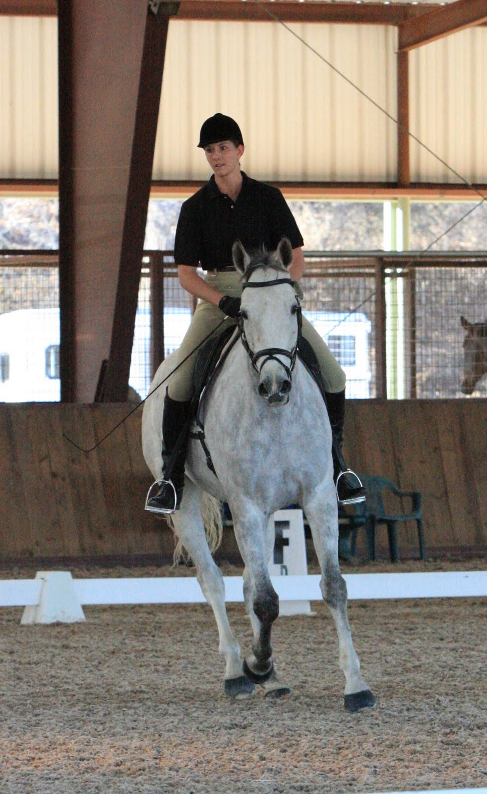 [Boomer+canter2.JPG]