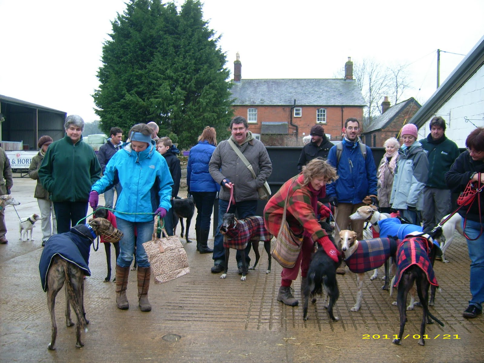 Greatwood A Saturday Morning with Greyhound Rescue