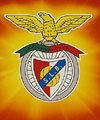 [benfica.jpg]