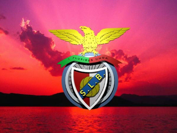 [benfica_noite-600x450.jpg]