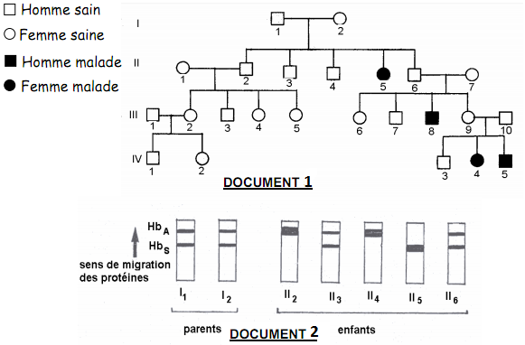 Oasis SVT: Pratique du raisonnement scientifique