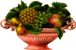 [pink-fruit-bowl.jpg]