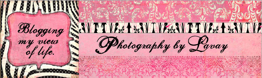 Photography By Lavay
