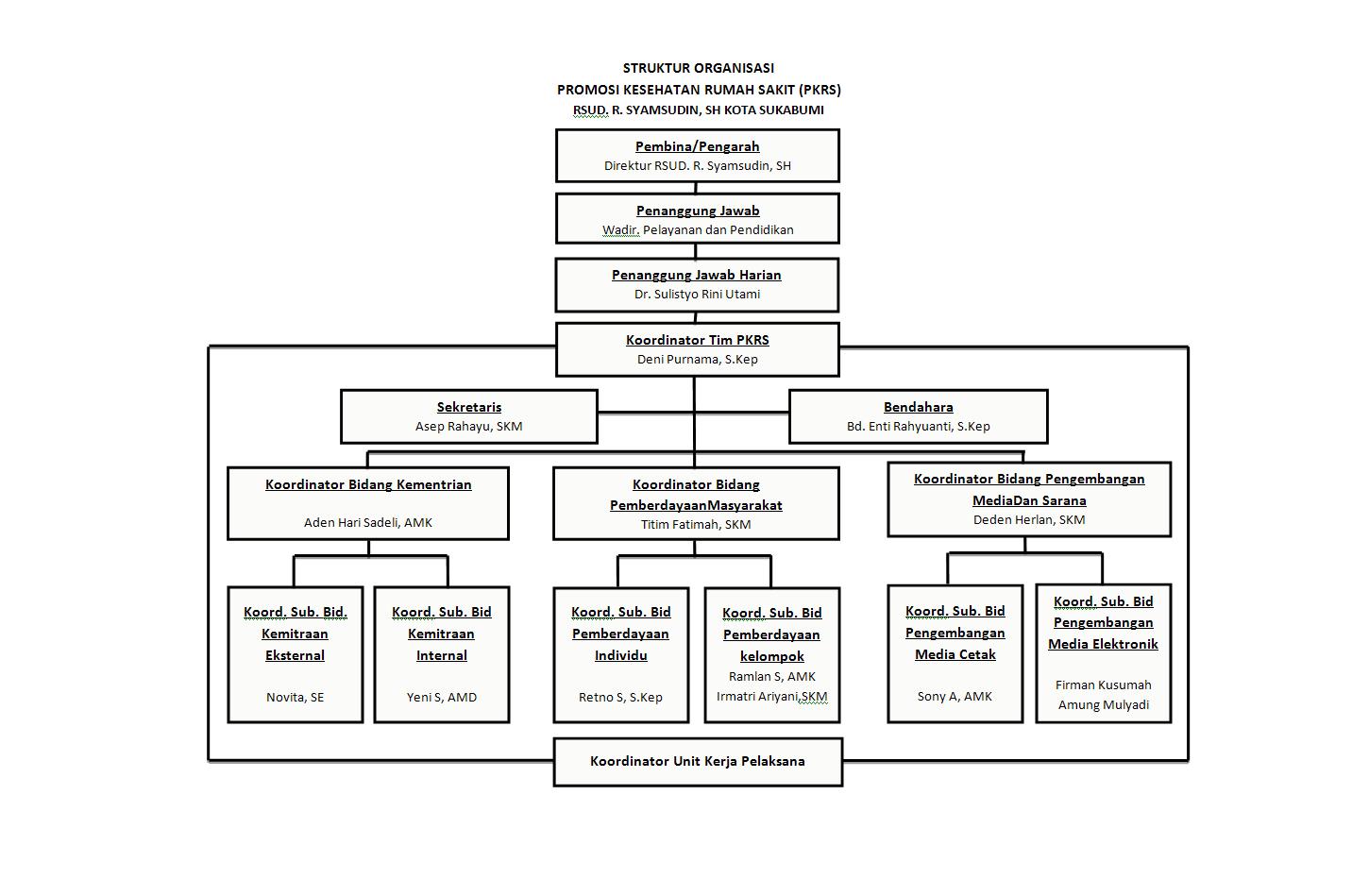 Promosi Kesehatan Rumah Sakit: Struktur organisasi PKRS