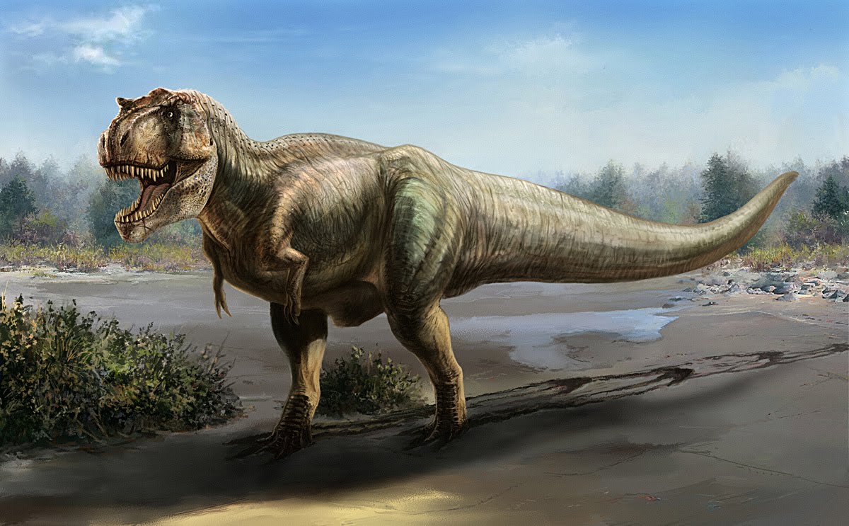 Главные динозавры. Тираннозавр рекс. Доисторический парк Тираннозавр рекс. Мезозойская Эра Тираннозавр. Тероподы Юрского периода.