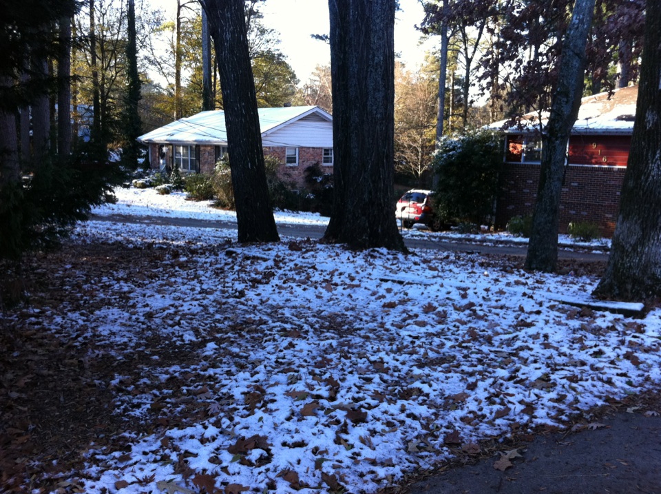 Here are some more pictures from the January 9th, 2010 Atlanta Snow Storm.