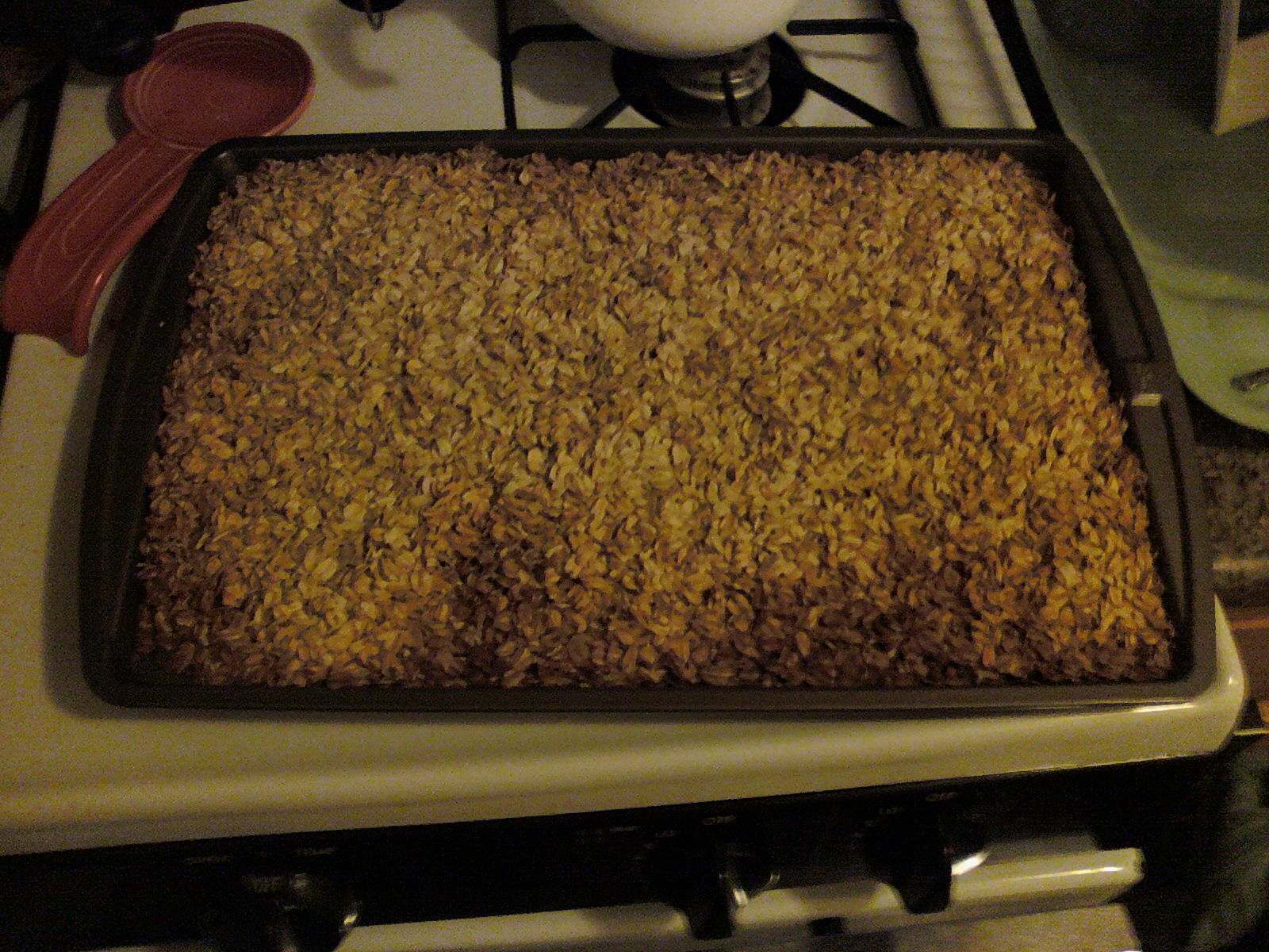 No Oven, Will Bake Alton Brown's Oaty Oatmeal Cookies