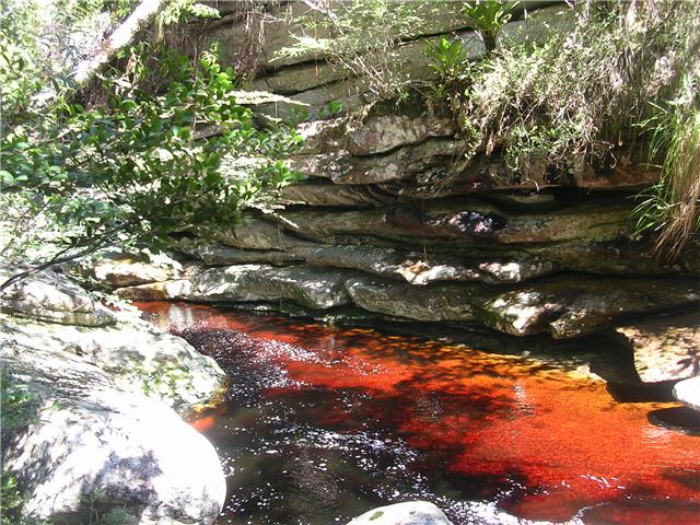 quadro.....no, natura