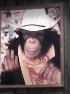 Ve presentable a tu entrevista!