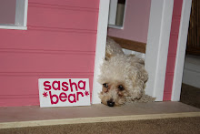 Sasha's New Dog House