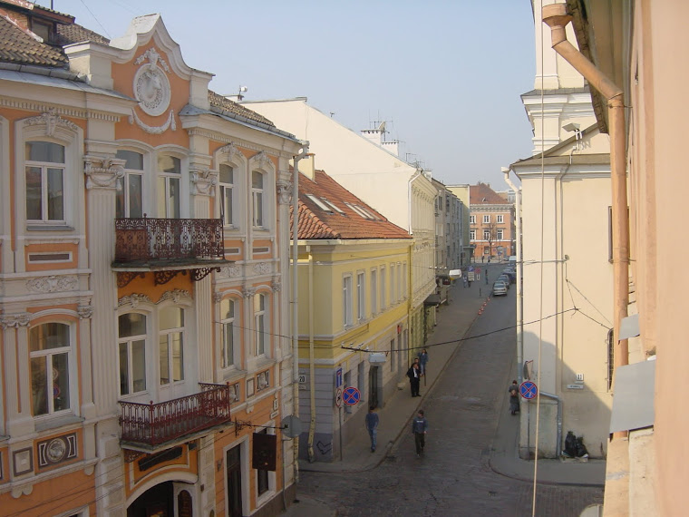 Vilnius apartment to rent