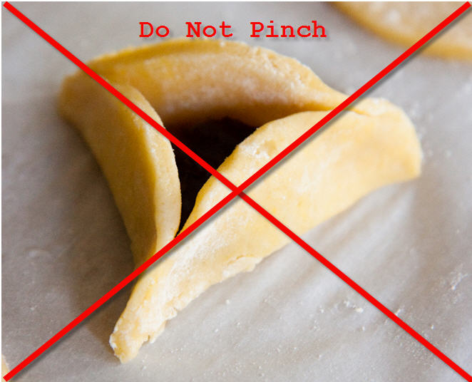 [hamantaschen+do+not+pinch.jpg]