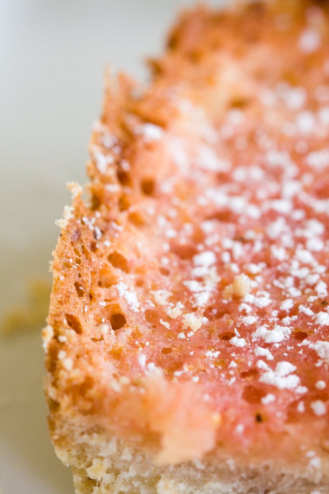 [prickly+pear+lemon+bars+10.jpg]