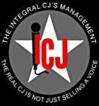 More ICJ Partners