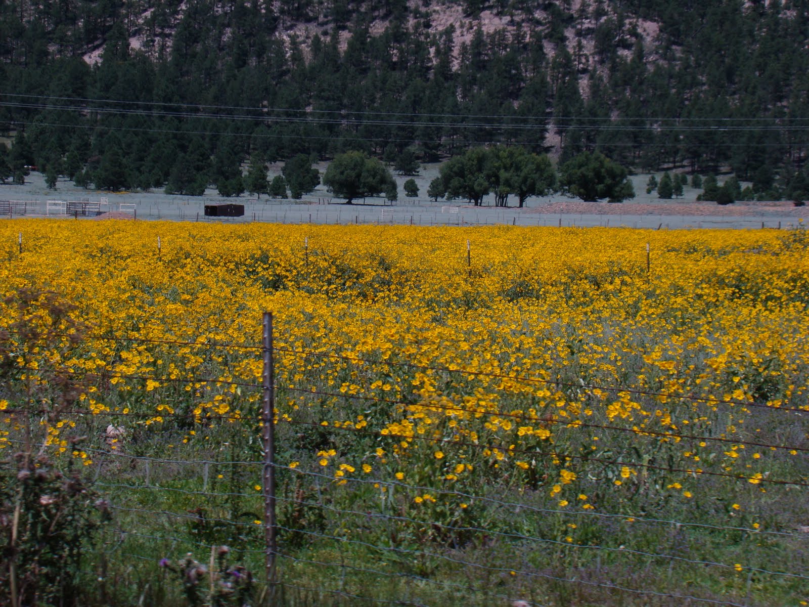 Travel with Us: Off to Explore Mora and Surrounding Area