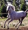 My true partner - we were on the same page..natural without knowing.