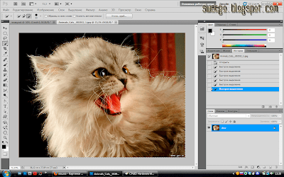 Как отделить объект от фона в Photoshop CS 5