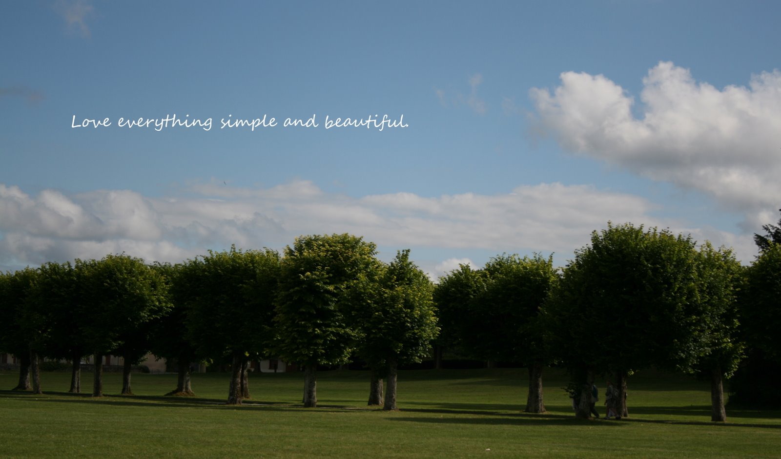 every little thing that comes across my mind...