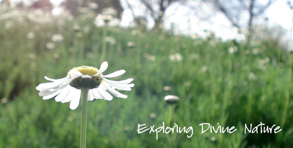 Exploring Divine Nature