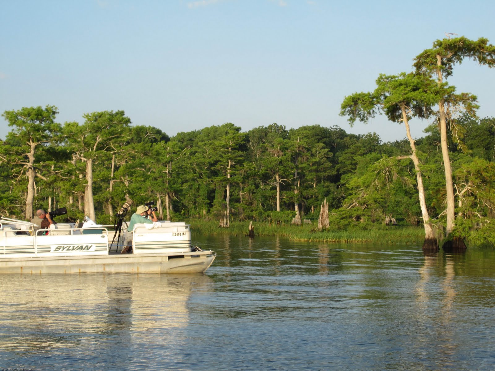 Wings & Wildflowers Blue Cypress Lake