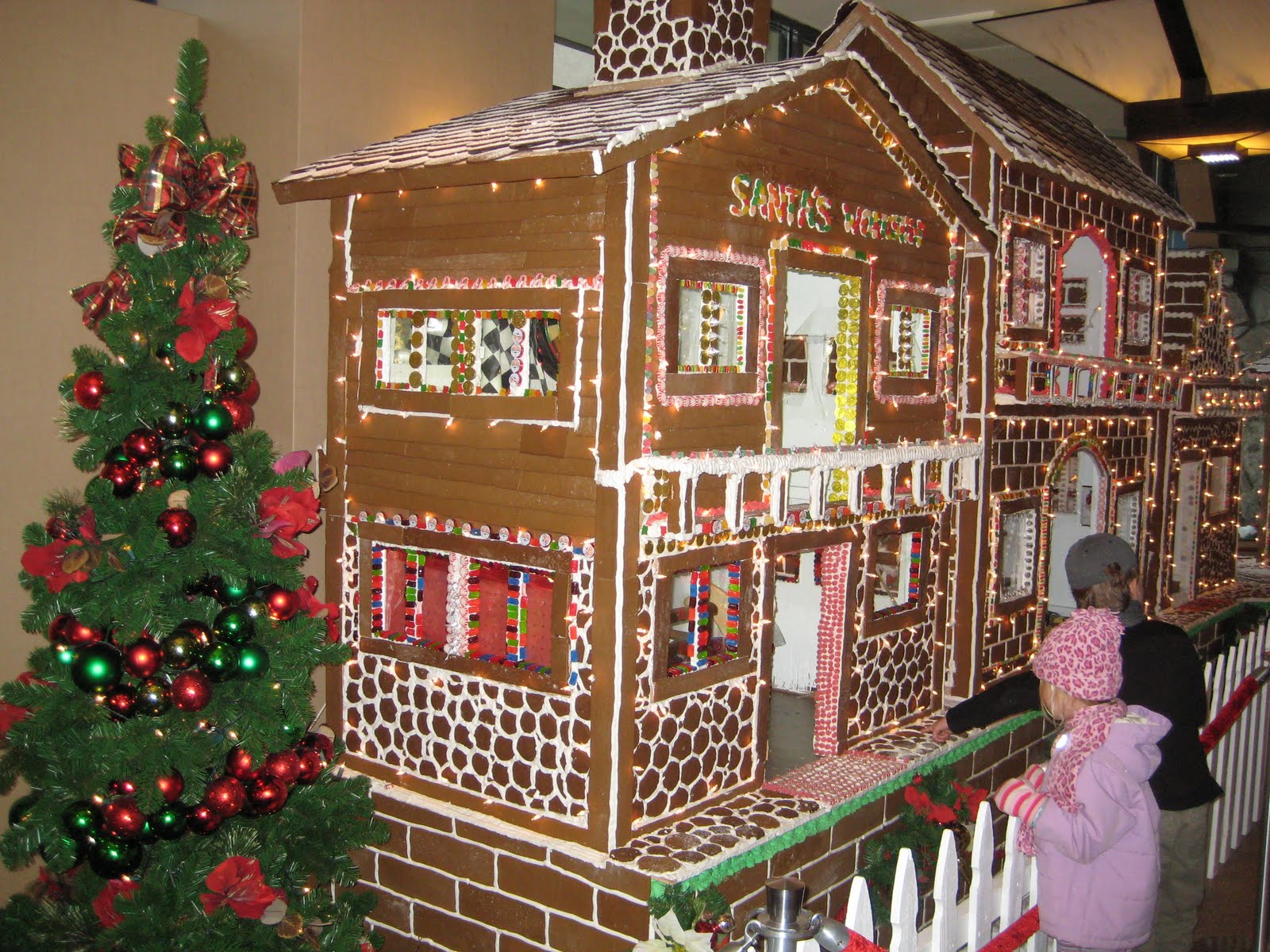 The Fisher's Line Winter Wonderland At Lake Tahoe