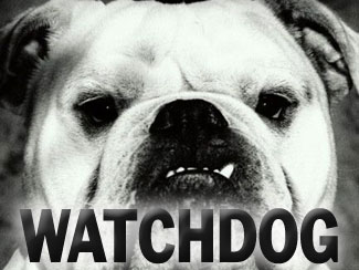 Watchdog News 3 Investigators