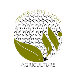 GREEN MILLION AGRISOLUTION ENT