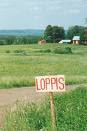 LOPPIS & ANTIKTIPS