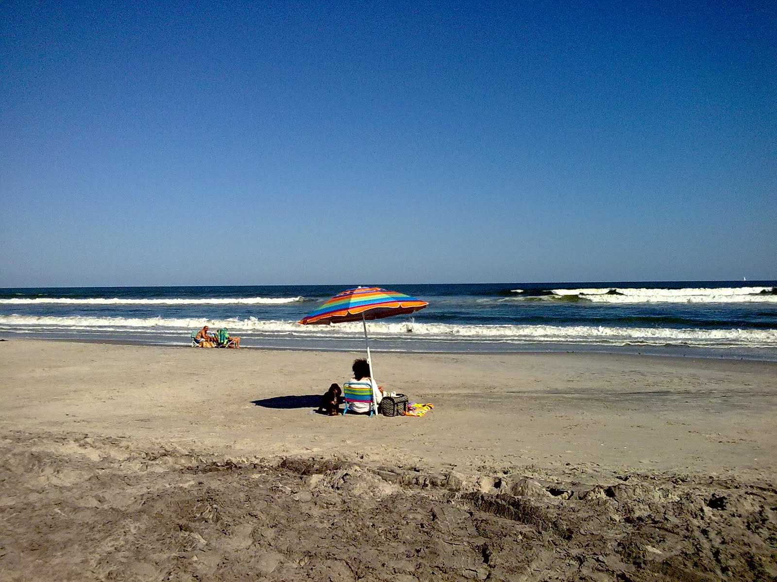 HeliCopTer AcTiViTy Brigantine NJ dog beach