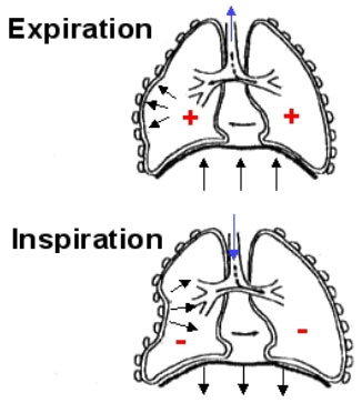 [la-ventilation-inspiration-.jpg]