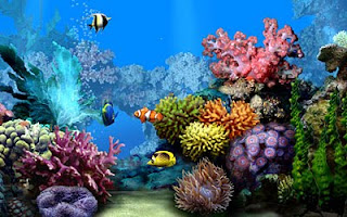 Living Marine Aquarium 2