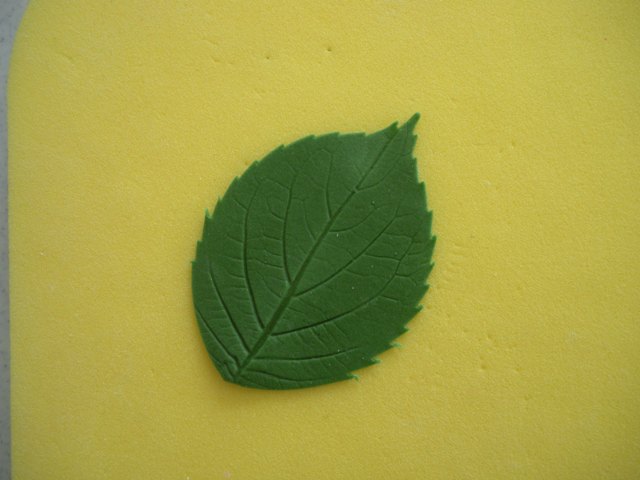 [Cut+leaf+on+pad+front.JPG]