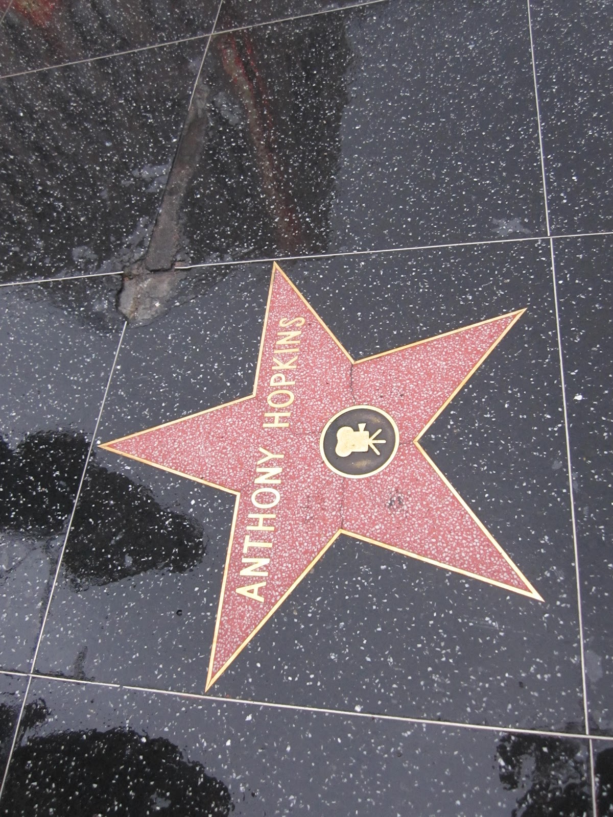 Greenie Craze: Hollywood Walk of Fame