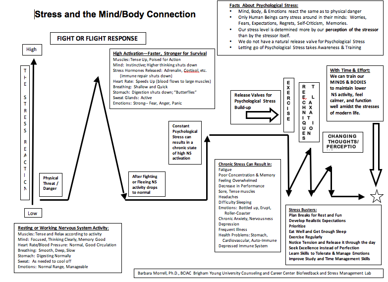 CAPS Stress Management & Biofeedback Services: Fight or Flight Diagram
