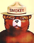 only you can prevent forest fires