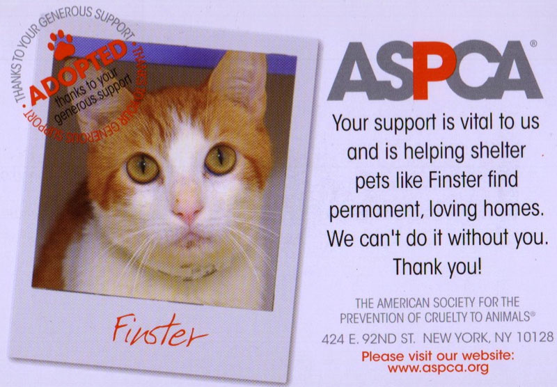 [ASPCA.jpg]