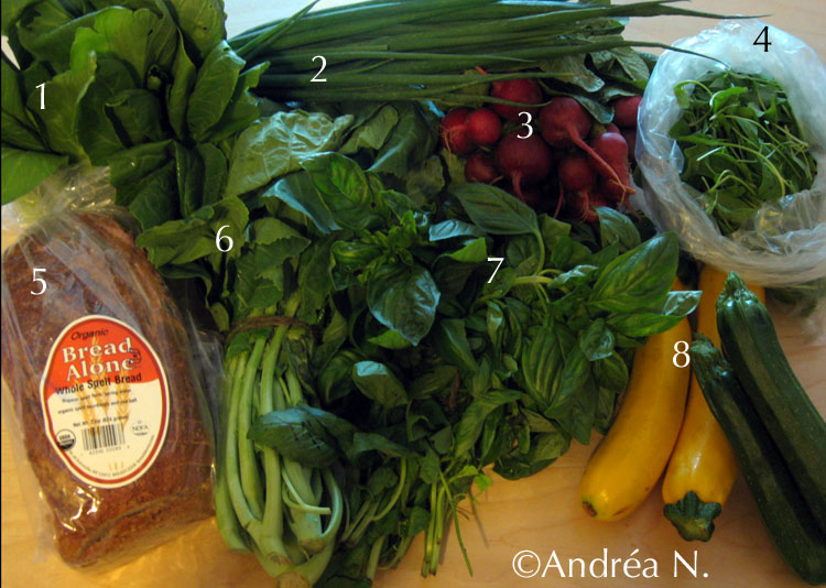 [Farmers+Market.jpg]