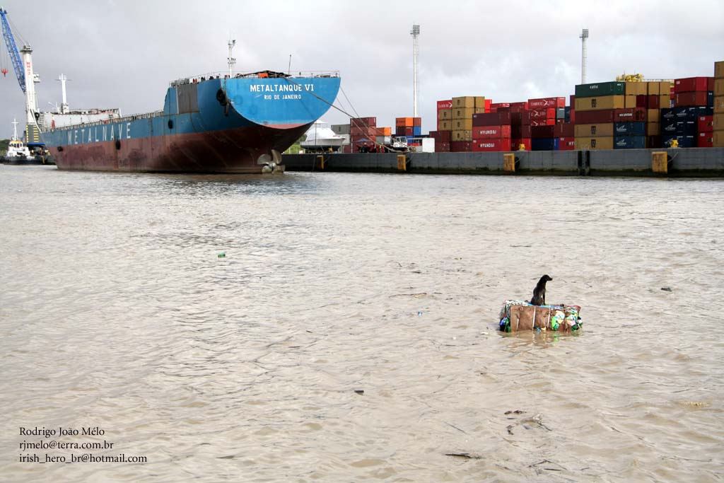 [cao-stacatarina.jpg]