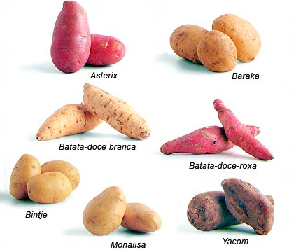 [Tipos-de-batatas.jpg]