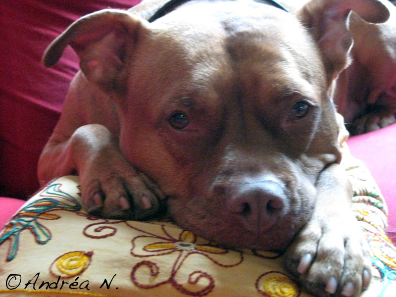[Clementine+032009.jpg]