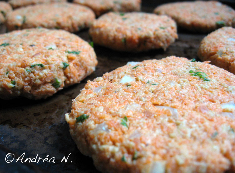 [Deinha'sburger2.jpg]