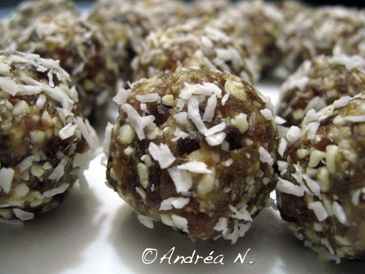 [HomemadeLarabars2.jpg]