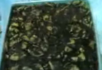 Resepi Kuih Muih Terbaru Paling Enak dan Lazat... ~ Cerita