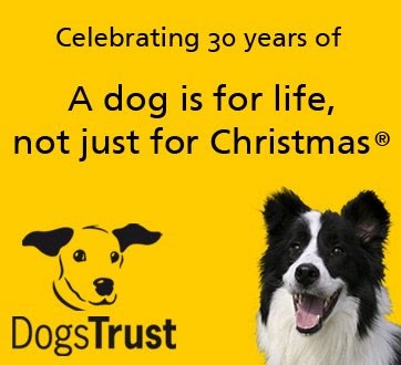 A dog's for life not just for christmas Clearance
