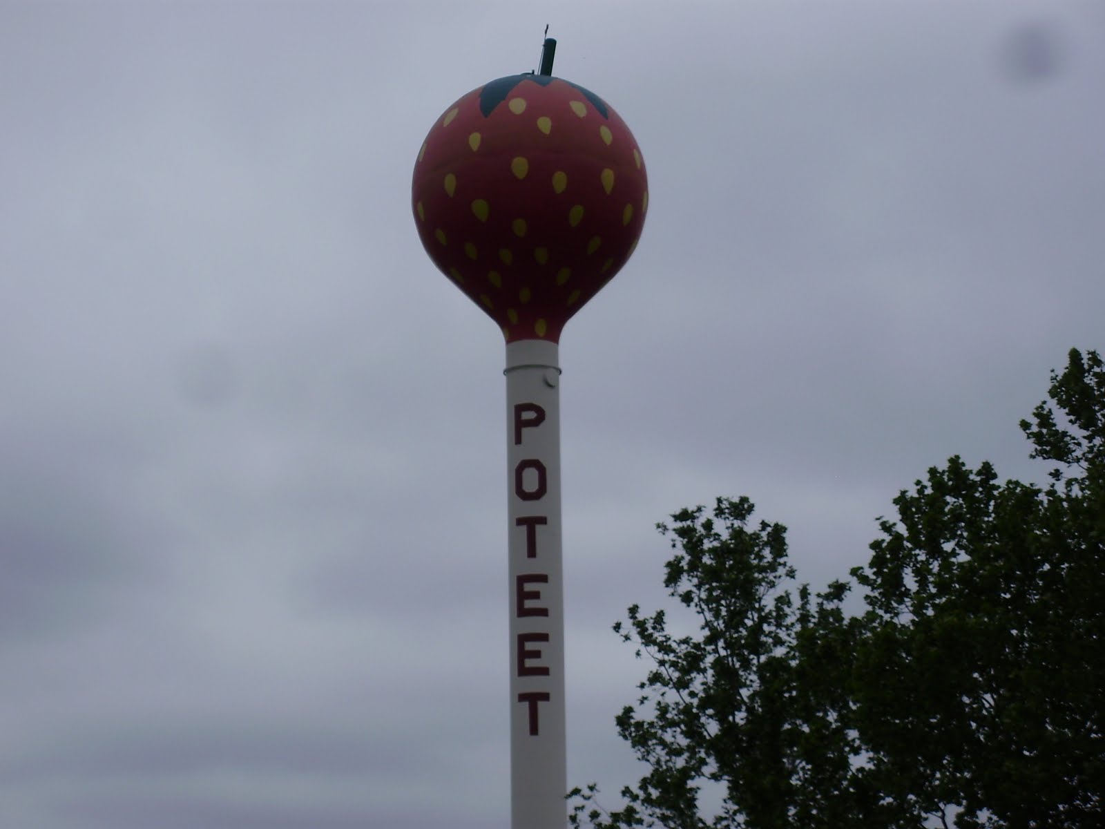 Life at 55 mph: Strawberry Festival in Poteet, Texas (click here for ...