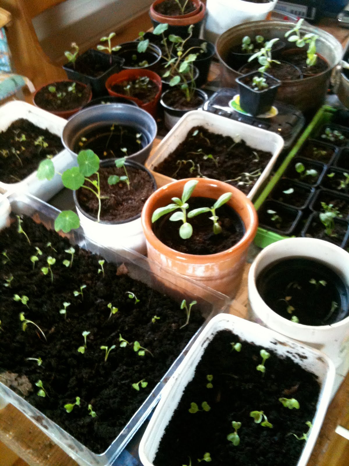 Livet p   landet  Villa Mathilde  Mette blogger 