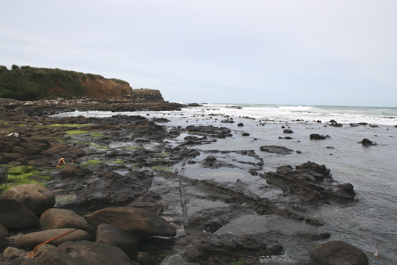 SOUTHLAND, DUNEDIN Y OTAGO - TRES SEMANAS POR NUEVA ZELANDA EN OCTUBRE DE 2008 (4)