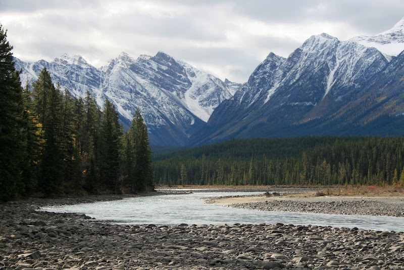 JASPER NATIONAL PARK - Recorriendo la costa oeste de Canadá y la Península Olympic en EEUU (10)