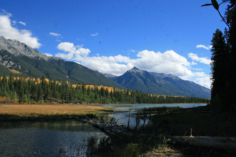 YOHO Y KOOTENAY NATIONAL PARKS - Recorriendo la costa oeste de Canadá y la Península Olympic en EEUU (11)