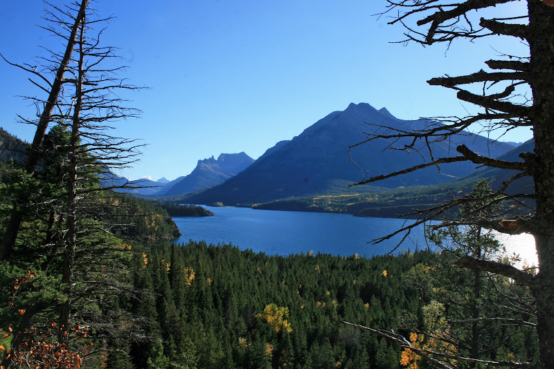 WATERTON LAKES NATIONAL PARK - Recorriendo la costa oeste de Canadá y la Península Olympic en EEUU (10)